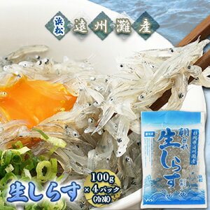 yӂ邳Ɣ[Łzyʌzl炷iⓀj100g×4pbN L C̍K CN Ⓚ炷 Nx I炷 Ⓚ炷 т̂ 炷 CN @͂F͂1