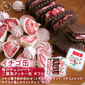 【ふるさと納税】イチゴ缶 苺のチョコレート ご褒美クッキー缶 ギフト　【 お菓子 焼菓子 詰め合わせ スイーツ チョコサンドクッキー ホワイトチョコ掛け メレンゲ イチゴスイーツ 】　お届け：2023年8月下旬より順次発送となります。