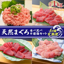 【ふるさと納税】【6回定期便】天然まぐろ食べ比べ4種セット 合計1kg（バチマグロ切落し・びん長マグロ・ミナミマグロ・ネギトロ 250g×各1袋）×6回【配送不可：離島】　【定期便・ 魚貝類 海の幸 海鮮 お酒のあて 厳選まぐろ もちもち 】