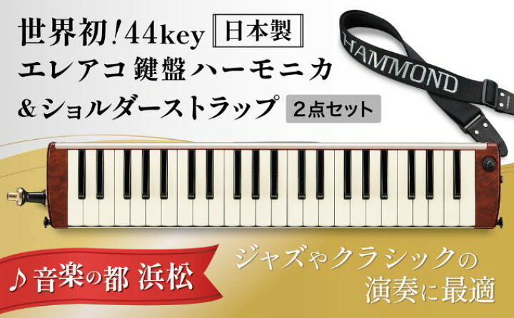 楽天市場】【ふるさと納税】世界初の44鍵エレアコ鍵盤ハーモニカ 