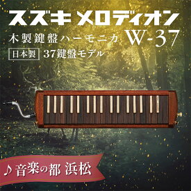 【ふるさと納税】スズキメロディオン 木製鍵盤ハーモニカ W-37 　【 楽器 演奏 柔らかな音色 繊細な表現 ハンドメイド 木のぬくもり 鈴木楽器製作所 自社製造 高品質 】