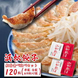 【ふるさと納税】浜松餃子 120粒 2種味くらべ（定番の味60粒、スタミナ60粒）総重量2.4kg！　【 浜松市 】