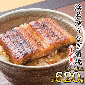 【ふるさと納税】浜名湖うなぎ蒲焼（小丼用）計620g 【訳あり】サイズ不揃い12～15袋 加工品 養殖 老舗 手焼き 百貨店 ギフト カット 湯せん レンジ 美味しい 冷凍 食べきり 便利 簡単 調理