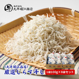 【ふるさと納税】〈丸半堀江商店〉厳選しらす干し　1袋100g×8袋セット【配送不可：離島】 一匹一匹の大きさが揃った 個包装
