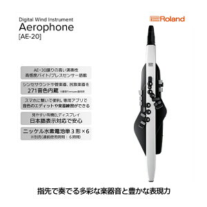 yӂ邳Ɣ[ŁzyRolandzdqǊy/Aerophone AE-20yzsFz G pi