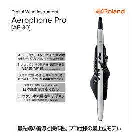 【ふるさと納税】【Roland】電子管楽器/Aerophone Pro AE-30【配送不可：離島】 雑貨 日用品