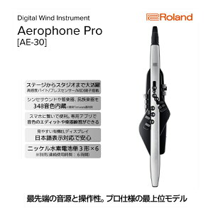 yӂ邳Ɣ[ŁzyRolandzdqǊy/Aerophone Pro AE-30yzsFz G pi