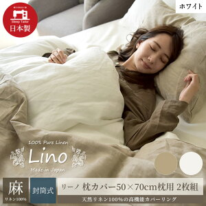 yӂ邳Ɣ[Łz100% l Jo[2g 50×70cmp zCg u[mv