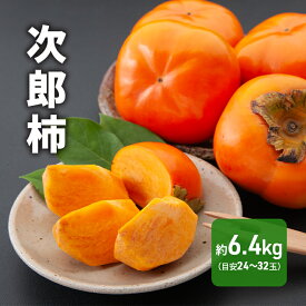 【ふるさと納税】先行予約 次郎柿 6.4kg 24～32個 静岡県 浜松市 【2025年11月上旬より順次発送】 果物 くだもの フルーツ 柿 かき 　お届け：2025年11月初旬～2025年11月下旬