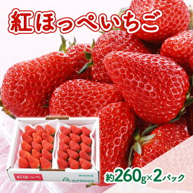 【ふるさと納税】【2026年1月中旬より順次発送】紅ほっぺいちご 約260g×2パック【配送不可：離島】 　お届け：2026年1月中旬～2月下旬