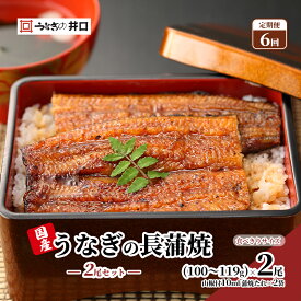 【ふるさと納税】国産うなぎ 定期便 6ヶ月 うなぎ 食べ切りサイズ 2尾 セット ITI優秀味覚賞受賞 蒲焼 国産 ウナギ 鰻 うなぎの蒲焼 詰め合わせ 国産うなぎ蒲焼 魚 和食 惣菜 真空パック 静岡 静岡県 浜松市 6回 定期 【配送不可：離島】