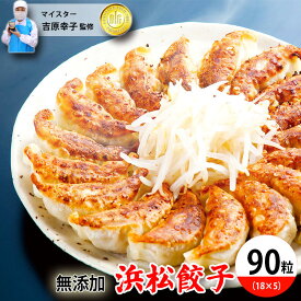 【ふるさと納税】浜松餃子 食肉マイスターが作った 食品添加物不使用 餃子 90粒 (18粒×5パック) セット 詰め合わせ ぎょうざ 餃子 ギョーザ 冷凍餃子 冷凍ぎょうざ 冷凍 冷凍食品 中華 惣菜 食品 おかず 保存料不使用 添加物なし 静岡 静岡県 浜松市