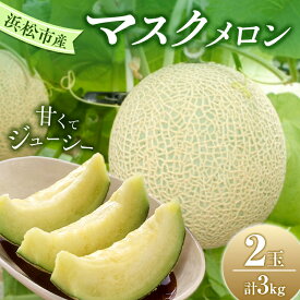 【ふるさと納税】【2025年7月上旬より順次発送】静岡県浜松市産マスクメロン1.5kg×2個　お届け：2025年7月初旬～2025年8月中旬