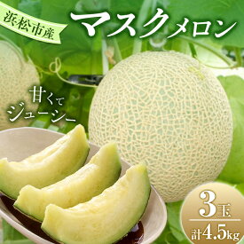 【ふるさと納税】【2025年7月上旬より順次発送】静岡県浜松市産マスクメロン1.5kg×3個　お届け：2025年7月初旬～2025年8月中旬