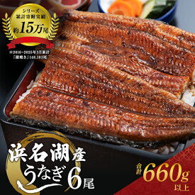 【ふるさと納税】国産 うなぎ 蒲焼き 110g 6尾 (2本×3箱) セット 詰め合わせ 国産うなぎ うなぎの蒲焼 うなぎ蒲焼き 国産うなぎ蒲焼 ウナギ 鰻 魚介 魚介類 惣菜 お惣菜 簡単調理 静岡うなぎ 浜名湖うなぎ 静岡 静岡県 浜松市