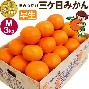 yӂ邳Ɣ[ŁzOP݂ yGizMTCY3kg(27O) ~J ʕ  t[c Â É ls ʕ k @͂F2025N11{`2025N12{