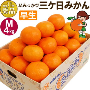 yӂ邳Ɣ[ŁzOP݂ yGizMTCY4kg(36O) ~J ʕ  t[c Â É ls ʕ k @͂F2025N11{`2025N12{