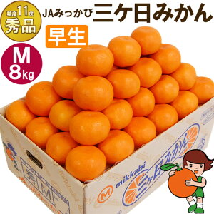 yӂ邳Ɣ[ŁzOP݂ yGizMTCY8kg(72O) ~J ʕ  t[c Â É ls ʕ k @͂F2025N11{`2025N12{