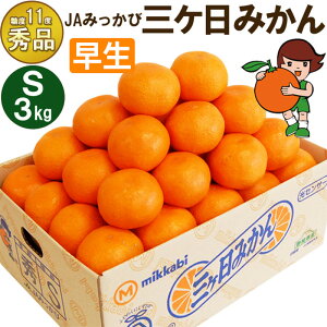 yӂ邳Ɣ[ŁzOP݂ yGizSTCY3kg(36O) ~J ʕ  t[c Â É ls ʕ k @͂F2025N11{`2025N12{