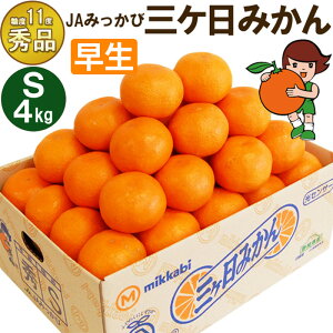 yӂ邳Ɣ[ŁzOP݂ yGizSTCY4kg(48O) ~J ʕ  t[c Â É ls ʕ k @͂F2025N11{`2025N12{