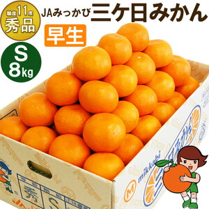 yӂ邳Ɣ[ŁzOP݂ yGizSTCY8kg(96O) ~J ʕ  t[c Â É ls ʕ k @͂F2025N11{`2025N12{