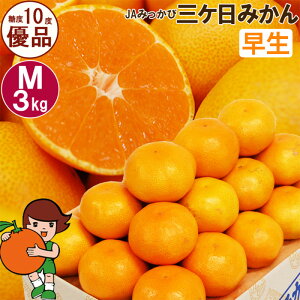 yӂ邳Ɣ[ŁzOP݂ yDizMTCY3kg(27O) ~J ʕ  t[c Â É ls ʕ k @͂F2025N11{`2025N12{