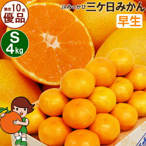 yӂ邳Ɣ[ŁzOP݂ yDizSTCY4kg(48O) ~J ʕ  t[c Â É ls ʕ k @͂F2025N11{`2025N12{