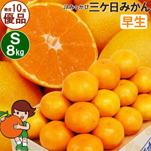 yӂ邳Ɣ[ŁzOP݂ yDizSTCY8kg(96O) ~J ʕ  t[c Â É ls ʕ k @͂F2025N11{`2025N12{