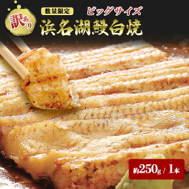 【ふるさと納税】【訳アリ・数量限定】浜名湖鰻白焼1本（約250g） ビッグサイズ うなぎ ウナギ 鰻 白焼 白焼き 魚貝類 訳あり 土用の丑の日 静岡県 浜松市