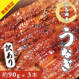 【ふるさと納税】うなぎ 訳あり 数量限定 浜名湖 国産 うなぎ蒲焼 約90g× 3尾 小分け 浜名湖うなぎ 浜名湖産 国産うなぎ 惣菜 おかず ギフト 贈答 土用の丑の日 丑の日 蒲焼き うな重 うな丼 ウナギ 鰻 魚 魚介 魚介類 冷凍 冷凍配送 静岡 静岡県 浜松市