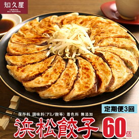 【ふるさと納税】【定期便3回】浜松餃子 60個 (20個×3袋) セット 詰め合わせ 餃子のタレ 小袋 知久屋 国産 ぎょうざ 餃子 ギョーザ 冷凍餃子 静岡 静岡県 浜松市 【配送不可：離島】