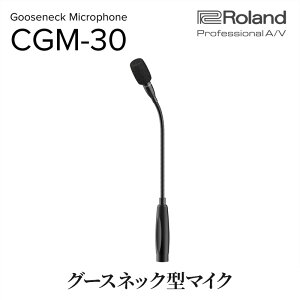 yӂ邳Ɣ[ŁzyRoland Pro A/VzO[XlbN^}CN/CGM-30yzsFz RfT[}CN }CN Webc zM Vv i  x [h ls