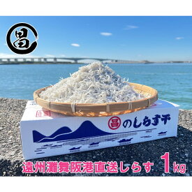 【ふるさと納税】しらす 遠州灘舞阪港直送 しらす干し 1kg (250g×4袋) 小分け 冷凍 シラス 【配送不可:離島】 浜松市