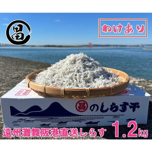yӂ邳Ɣ[Łz킯 炷 B啑` 炷 1.2kg Ⓚ VX A yzs:z ls