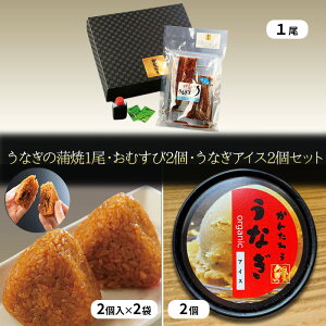 yӂ邳Ɣ[ŁzȂ̊1120g/Ȃ肨ނ22/ȂACX2Zbg Ȃ V EiM  ACX ނ ɂ  fU[g XC[c Zbg Ⓚ YV 