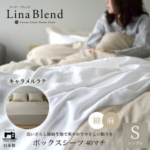 yӂ邳Ɣ[Łz{bNXV[c VO }`40cm l & Rbg u[iuhvLe Q {   􂢂炵 ɏ̏_炩  Ȃ₩ É ls