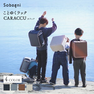 yӂ邳Ɣ[ŁzSobagni Ƃ䂭bN CARACCU hZ bN^ y e v GVJ  { ls