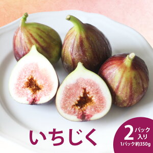 �y�ӂ邳�Ɣ[�Łz��������2�p�b�N���� ��350g×2�p�b�N �ʕ� �t���[�c �������� �C�`�W�N ���ԉ� �H���@�� �y�N�`�� �n���\�h �S�� �T���_ �}���l ���Y �l���s �É� �y�z���s�F�k�C���E����