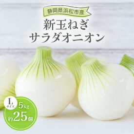 【ふるさと納税】静岡県浜松市産 新玉ねぎ サラダオニオン Lサイズ 5kg 約25個 野菜 新玉ねぎ たまねぎ タマネギ サラダ オニオン 国産 浜松市 静岡 【配送不可：離島】　お届け：2026年2月1日～2026年3月31日まで