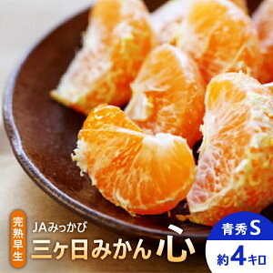 yӂ邳Ɣ[ŁzJA݂ n O݂uSv GS 4kg ݂ ~J t[c ʕ É ls@͂F2025N1220܂