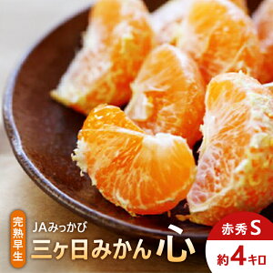 yӂ邳Ɣ[ŁzJA݂ n O݂uSv ԏGS 4kg ݂ ~J t[c ʕ É ls@͂F2025N1220܂