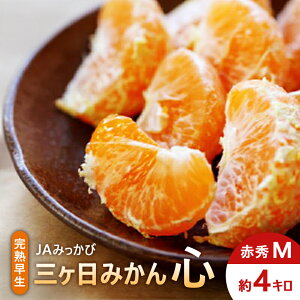 yӂ邳Ɣ[ŁzJA݂ n O݂uSv ԏGM 4kg ݂ ~J t[c ʕ É ls@͂F2025N1220܂