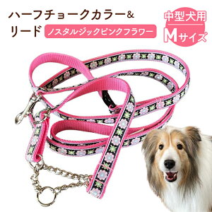 yӂ邳Ɣ[Łzy^pEMTCYz n[t`[NJ[ƃ[h̃ZbgimX^WbNsNt[jybgpi  [h ^ r[O Č {[_[R[ t`