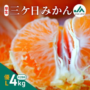 yӂ邳Ɣ[ŁzOP݂ DL 4kg i28j ݂ ~J t[c ʕ  @\\Hi ls@͂F2025N1115`2025N1215܂