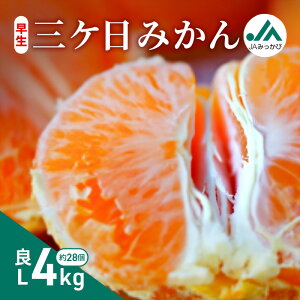 yӂ邳Ɣ[ŁzOP݂ L 4kg i28j ݂ ~J t[c ʕ  @\\Hi ls@͂F2025N1115`2025N1215܂