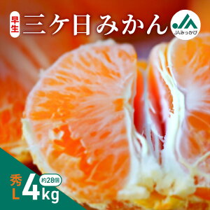 yӂ邳Ɣ[ŁzOP݂ GL 4kg i28j ݂ ~J t[c ʕ  @\\Hi ls@͂F2025N1115`2025N1215܂