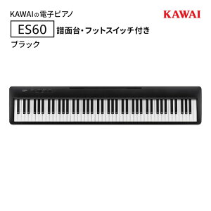 yӂ邳Ɣ[ŁzKAWAI dqsAm ES60iubNjʑEtbgXCb`t yzsFEz JC sAm É ls