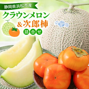 yӂ邳Ɣ[Łzy2026N11z NEY`lߍ킹 NE11.3Kg  Y`5`61.5Kg  ߂ `  Zbgi l t[cZbg t[