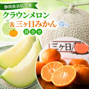 yӂ邳Ɣ[Łzy2026N11z NEO݂l NE11.3Kg  O݂ij2Kg ML  ~J l t[c ʕ É l