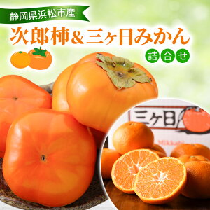 yӂ邳Ɣ[Łzy2026N11z Y`O݂l Y`9`12 2.5Kg OP݂ 3Kg M`L `  ݂ ~J  Zbgi l t[cZbg t[c ʕ 